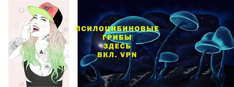 купить наркоту  Ртищево  Псилоцибиновые грибы мухоморы 